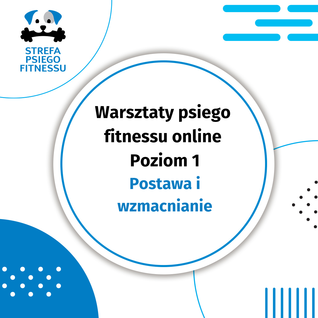 Warsztaty z psiego fitnessu poziom 1 – postawa i wzmacnianie edycja luty 2025