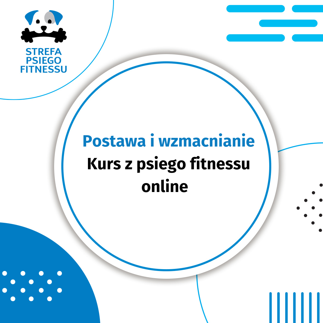 Postawa i wzmacnianie luty 2026